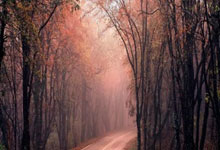 [乒乓球]争夺激烈 黄石基地华新战胜上海华东理工.