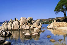 蓝狮在线:成功冲超!大连英博2-1绝杀上海嘉定汇.